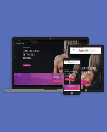 single portfolio image