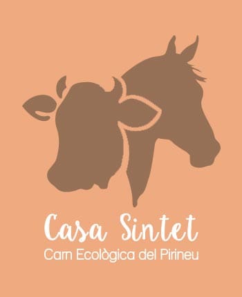 logotipo casa sintet